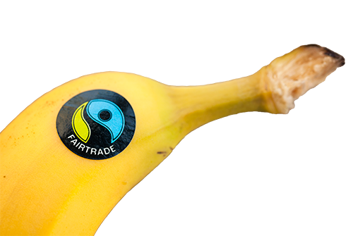 A banana with a Fairtrade sticker displaying the Fairtrade logo.