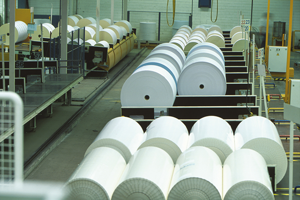 Rolls of paper are stored in a production hall, organised in long rows on conveyor belts and pallets.